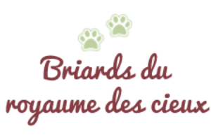 https://www.briards-herford.de/wp-content/uploads/logo6-300x200.png